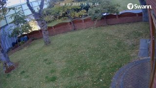 xxx - CH02-20250923-190216-190440-000002000000