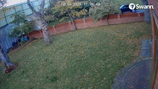 VOLKSWAGEN YR25OYK - CH02-20251004-173313-173818-000002000000