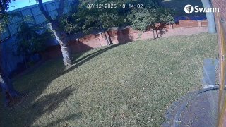 Striper-CH02-20250712-181402-181449-000002000000