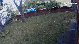 PF15OMD-CH02-20250813-110043-111628-000002000000