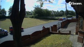 SUSPECT-2-20250708-094255