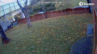 TESLA YE20VBT - CH02-20251105-094226-100234-000002000000